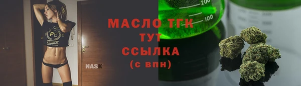 дмт Карпинск