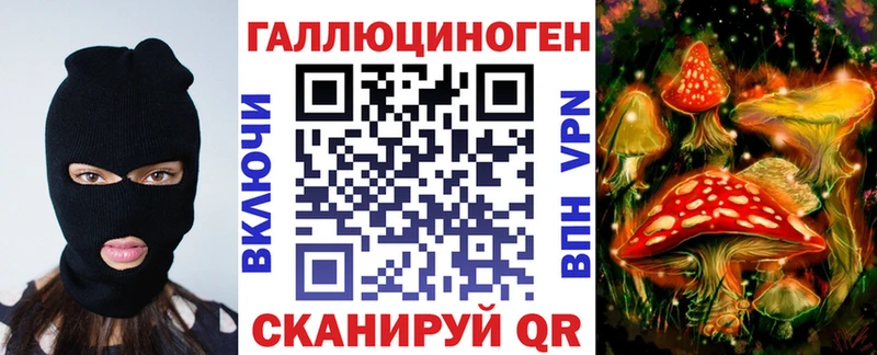 Купить  Кимры  Галлюциногенные грибы GOLDEN TEACHER 